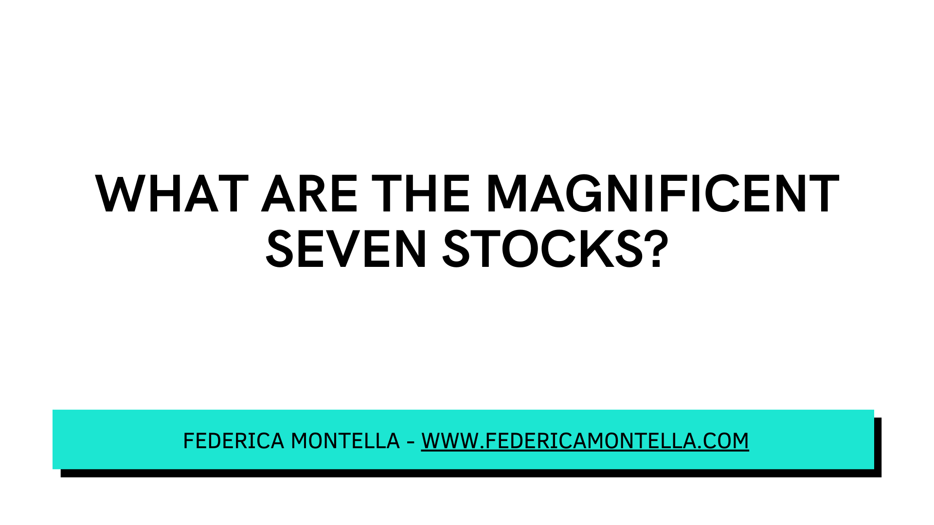 What Are The Magnificent Seven Stocks? | Federica Montella